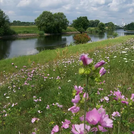 Apartment Schweizer Haus Stolpe (Angermunde)