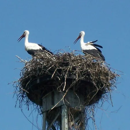 Schweizer Haus * Stolpe (Angermunde)