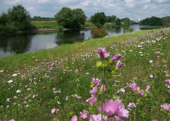 Apartmán Schweizer Haus Stolpe (Angermunde)