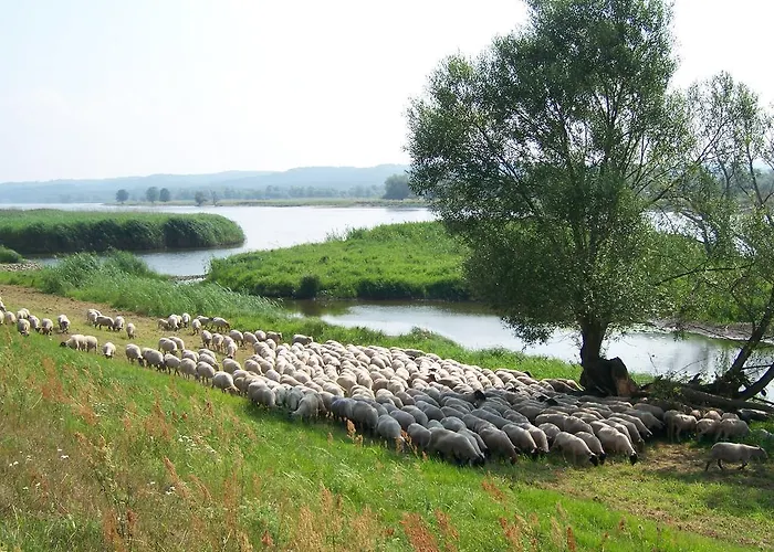 Schweizer Haus Apartamento *