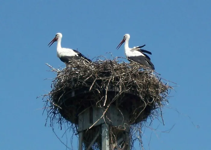 Schweizer Haus * Stolpe (Angermunde)