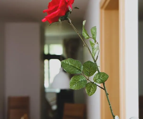 Apartmán Schweizer Haus